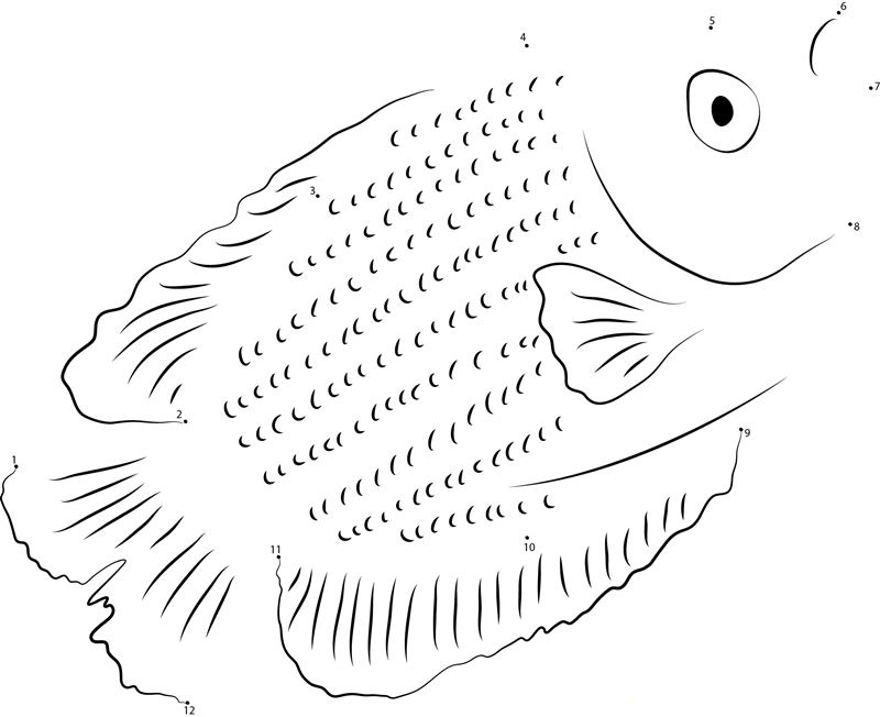 Blue Male Gourami printable dot to dot worksheet