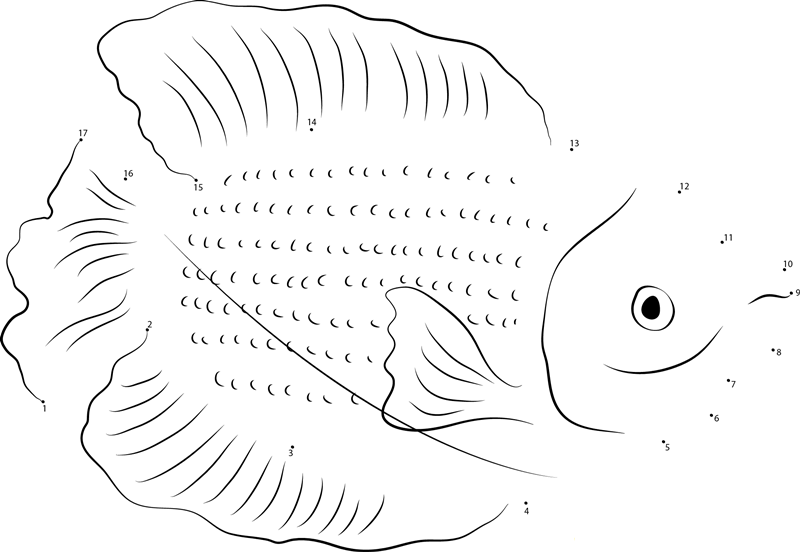 Dwarf Gourami printable dot to dot worksheet