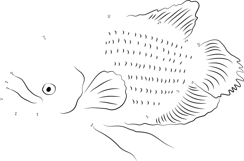 Giant Gourami Swims printable dot to dot worksheet