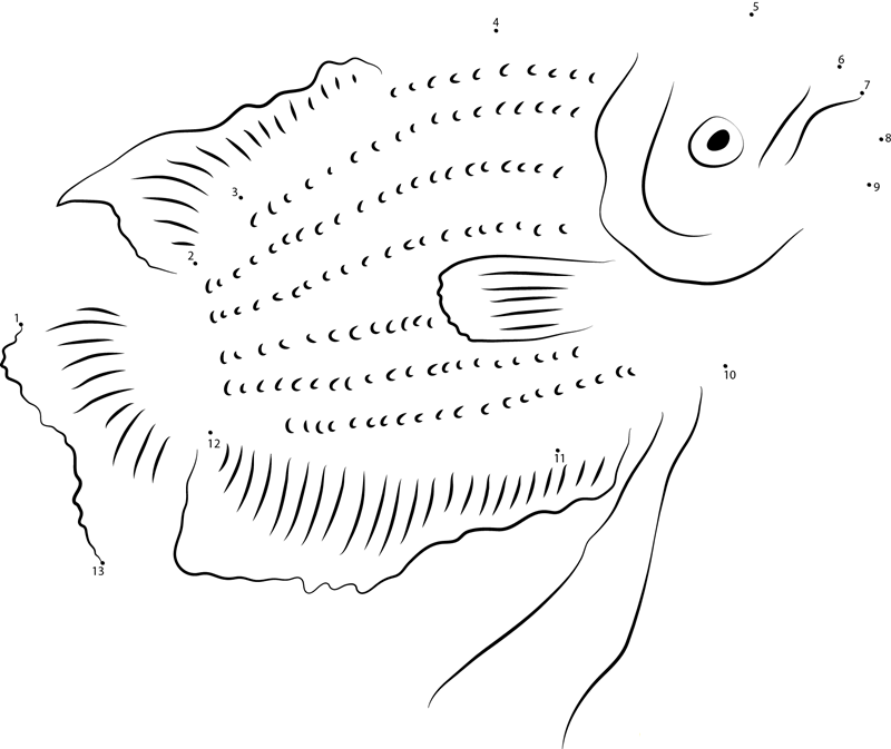 Giant Red Tail Gourami printable dot to dot worksheet