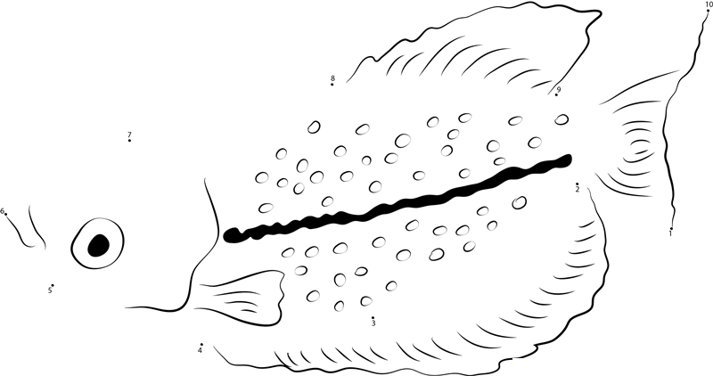 Gourami dot to dot worksheets