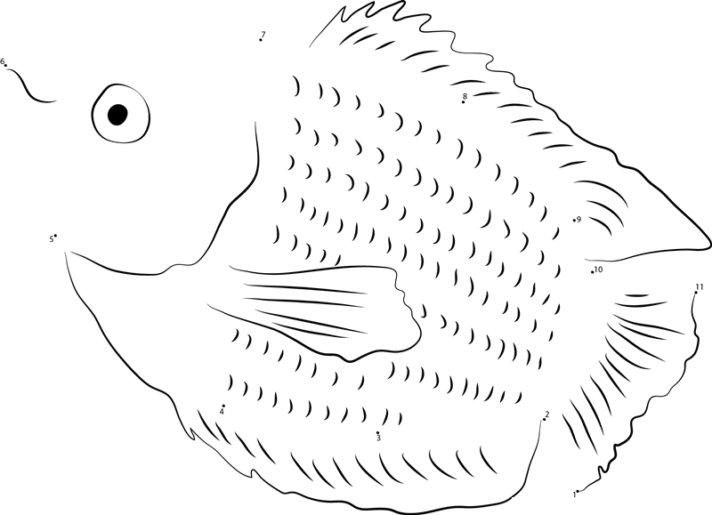 Gourami Up See printable dot to dot worksheet