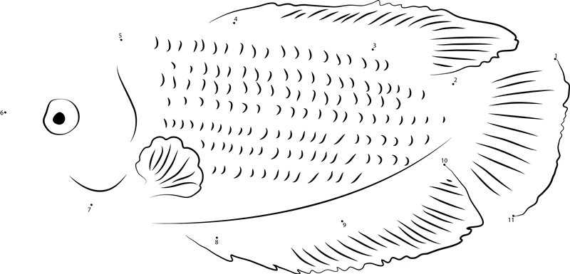 Trichogaster Lalius printable dot to dot worksheet