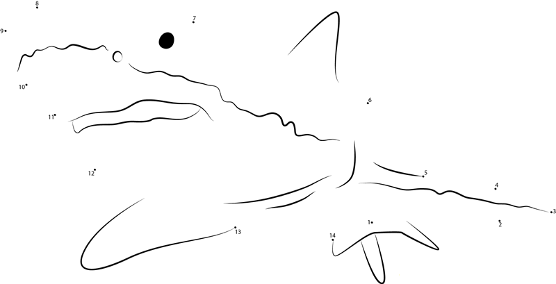 Great Shark dot to dot worksheets