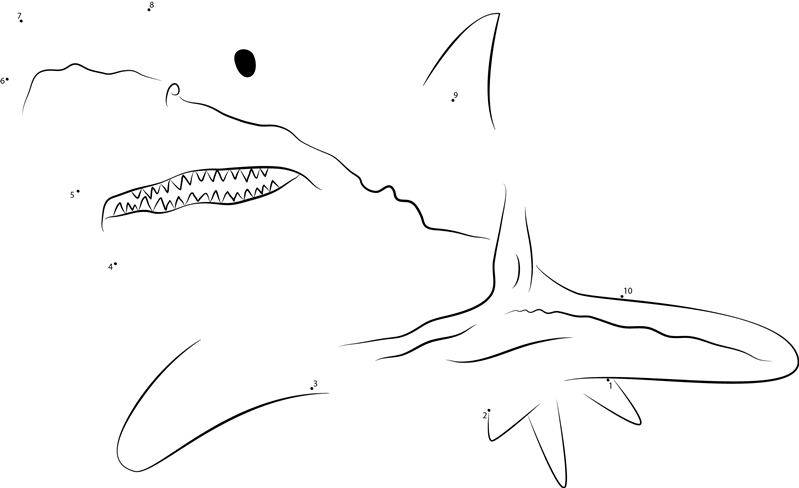 Great White Close Up printable dot to dot worksheet