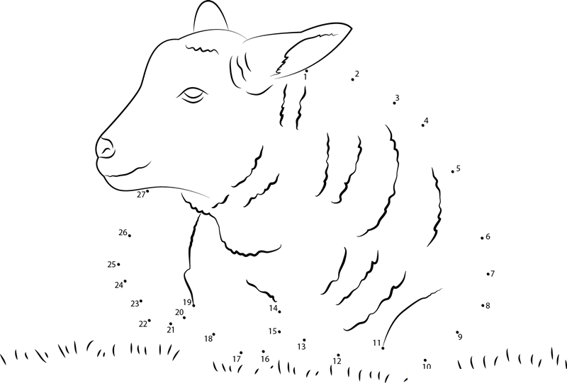 Lamb Sheep dot to dot worksheets