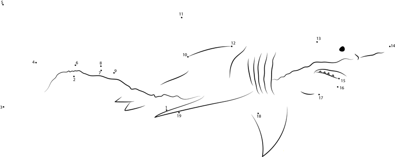 Great White Shark In The Monterey Bay Aquarium dot to dot worksheets