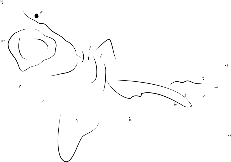 Great White Shark In Yosemite National Park dot to dot worksheets