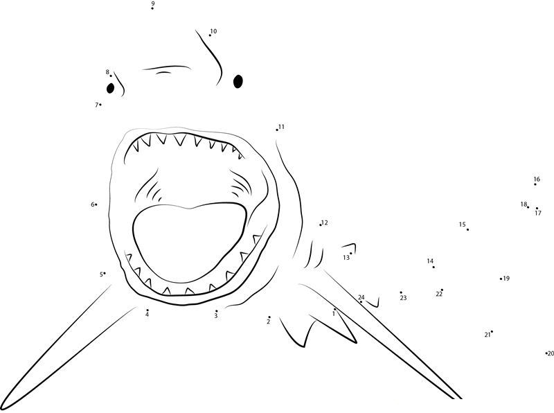 Great White Shark Open Mouth dot to dot worksheets