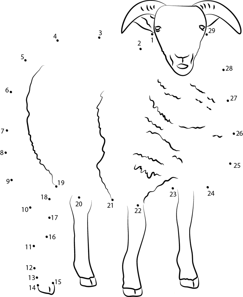 Sheep dot to dot worksheets