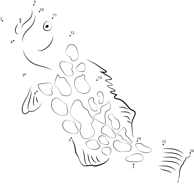 Billy Grouper printable dot to dot worksheet