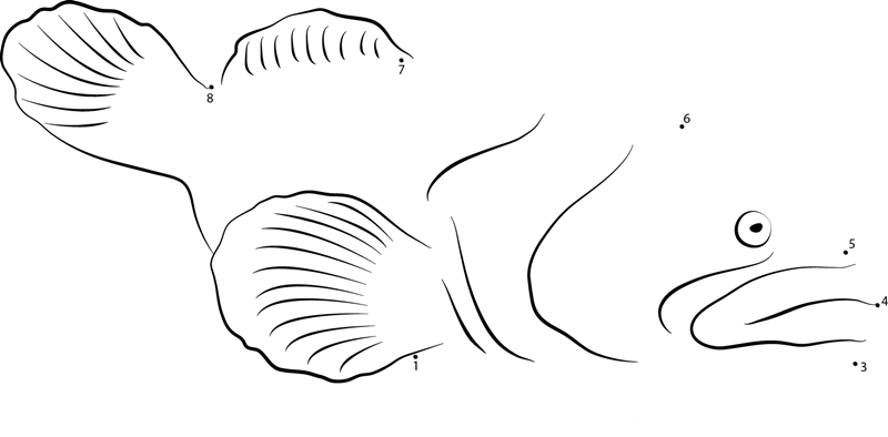 Goliath Grouper dot to dot worksheets