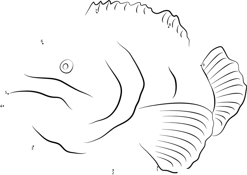 Grouper In National Aquarium dot to dot worksheets