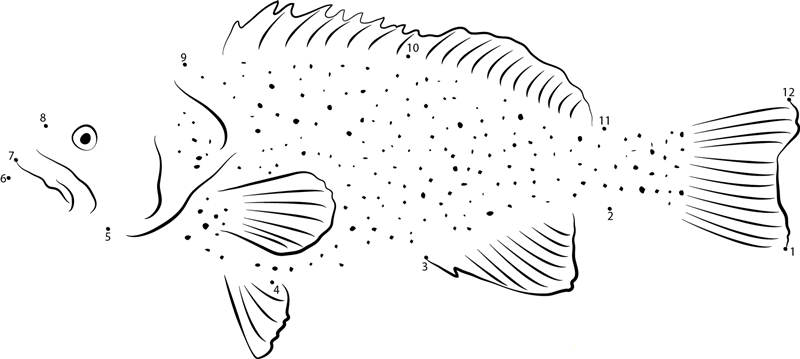 Grouper In Underwater printable dot to dot worksheet