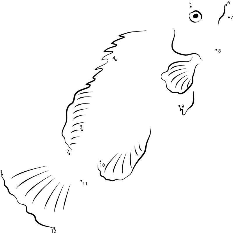 Grouper See Up printable dot to dot worksheet