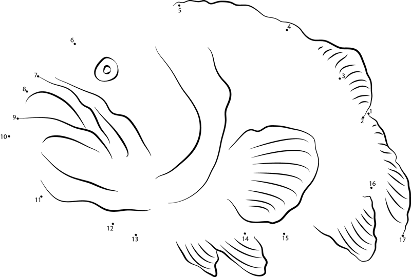 Jewfish printable dot to dot worksheet