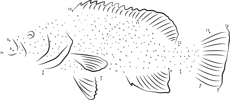 Leopard Grouper dot to dot worksheets