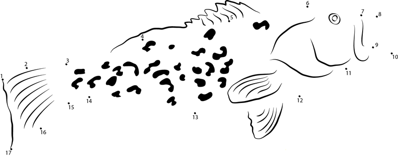 Spotted Grouper printable dot to dot worksheet