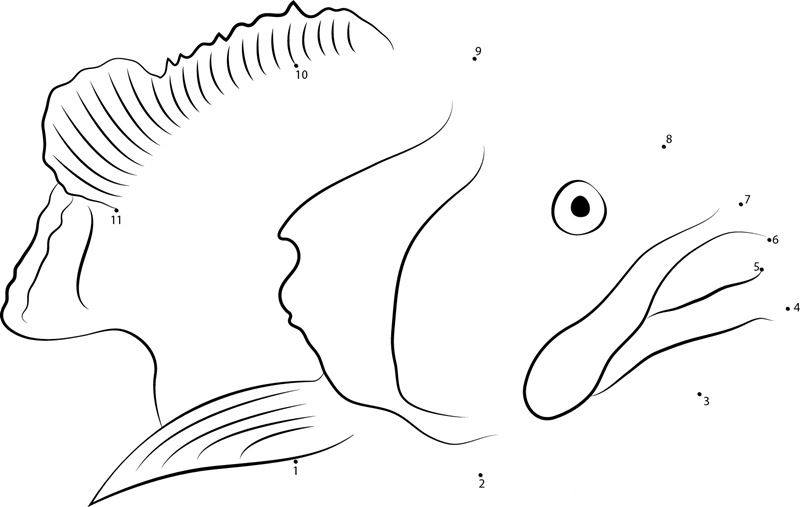 The Golden Grouper dot to dot worksheets