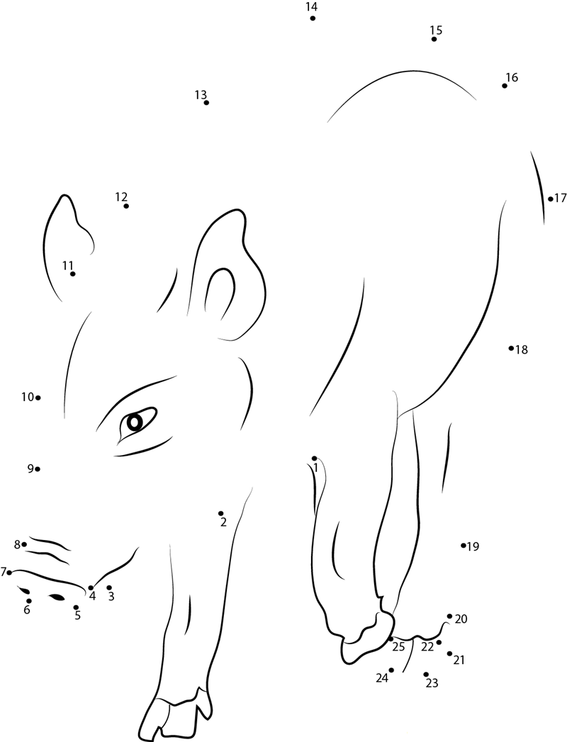 Cut Boar dot to dot worksheets