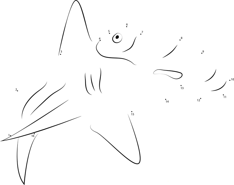 Cocos Island Hammerhead Shark dot to dot worksheets