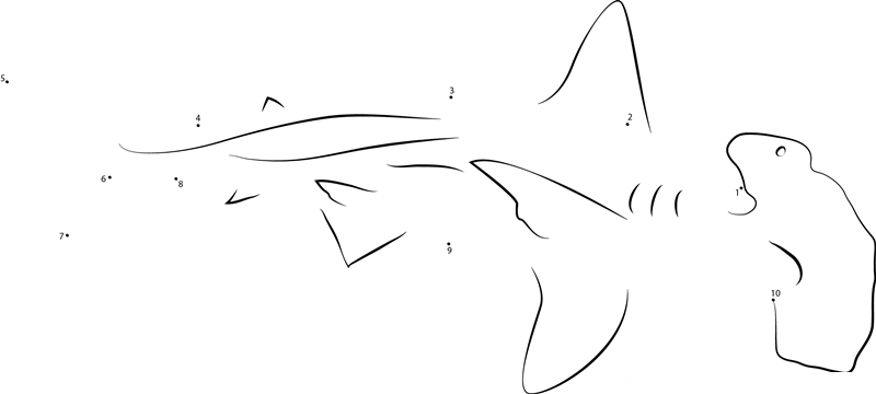 Costa Rican Hammerhead Shark printable dot to dot worksheet