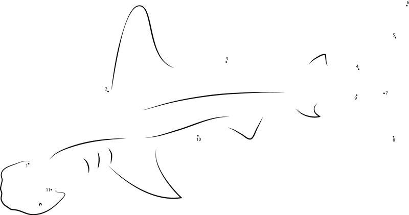 Golden Hammerhead Shark dot to dot worksheets