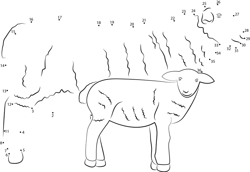 Sheep With Her Baby dot to dot worksheets