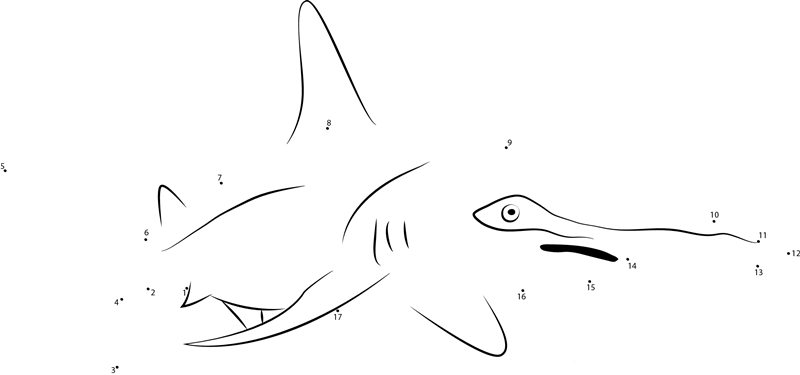 Hammerhead Shark In Blue Water dot to dot worksheets