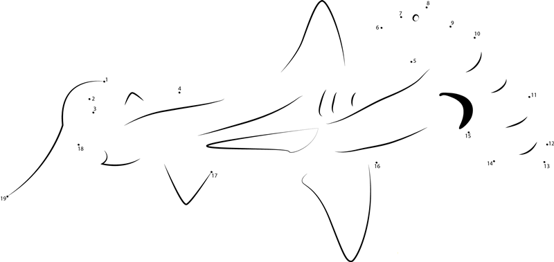 Hammerhead Shark Swimming printable dot to dot worksheet