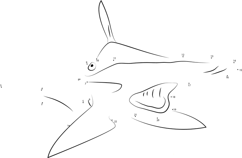 Hammerhead Sharks In National Aquarium printable dot to dot worksheet