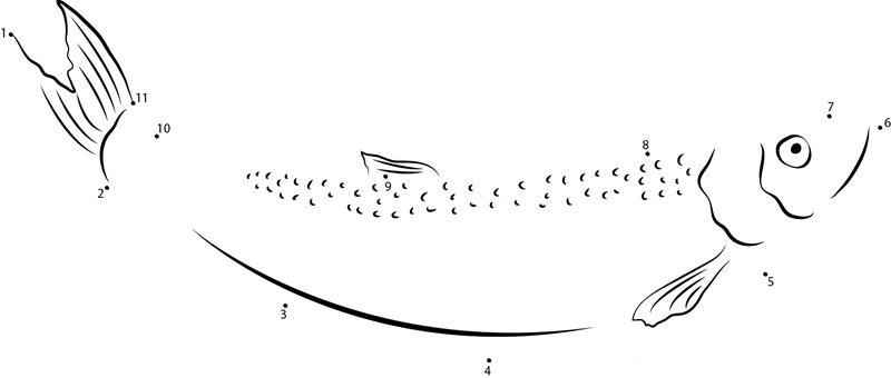 Adult Herring dot to dot worksheets