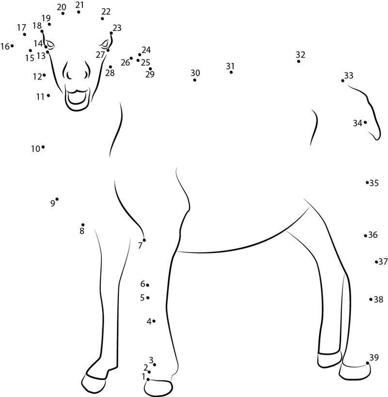 Smiling Sheep printable dot to dot worksheet