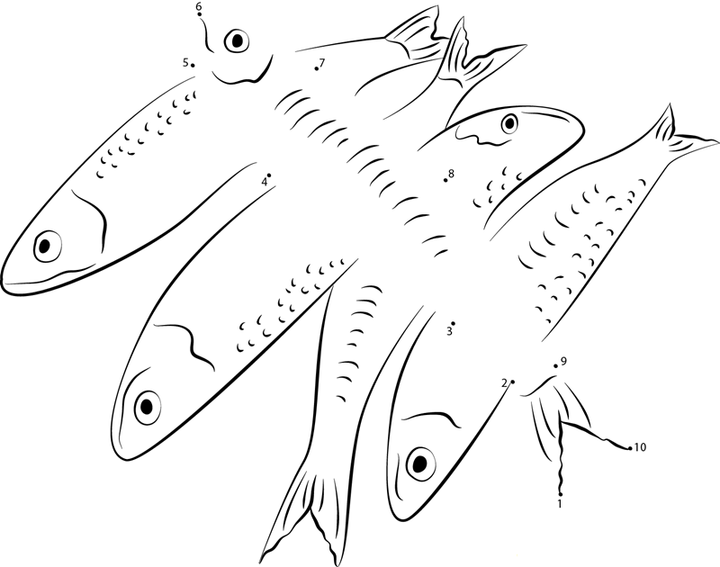 Deepbody Thread Herring Fish printable dot to dot worksheet