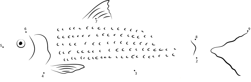 Herring Fish printable dot to dot worksheet