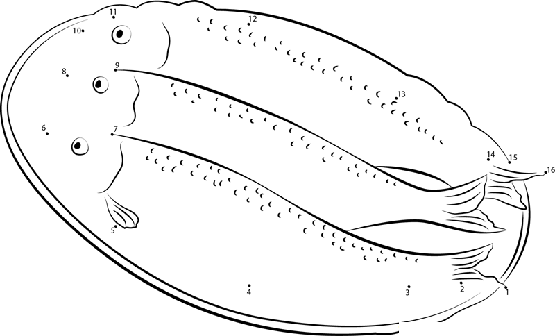 Herring Fish In Plate printable dot to dot worksheet