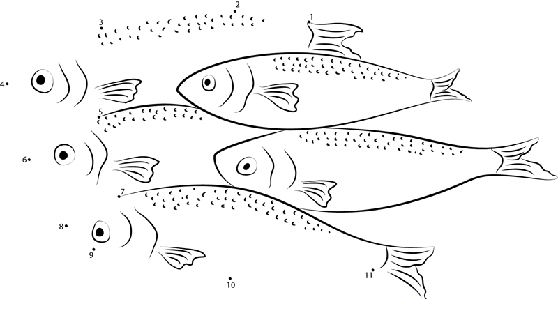 River Herring dot to dot worksheets