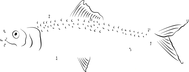 Skipjack Shad dot to dot worksheets