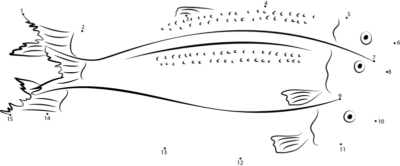 The Atlantic Herring printable dot to dot worksheet