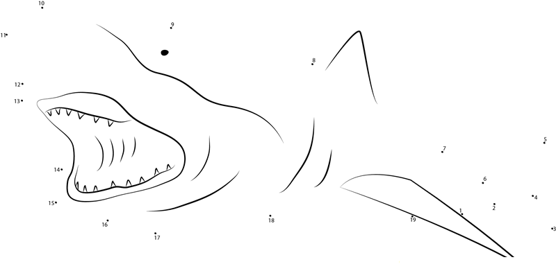 Blacknose Shark printable dot to dot worksheet