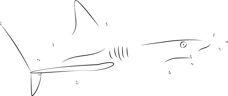 Caribbean Reef Shark printable dot to dot worksheet