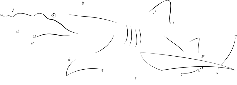 Lemon Shark In Turks And Caicos Islands dot to dot worksheets