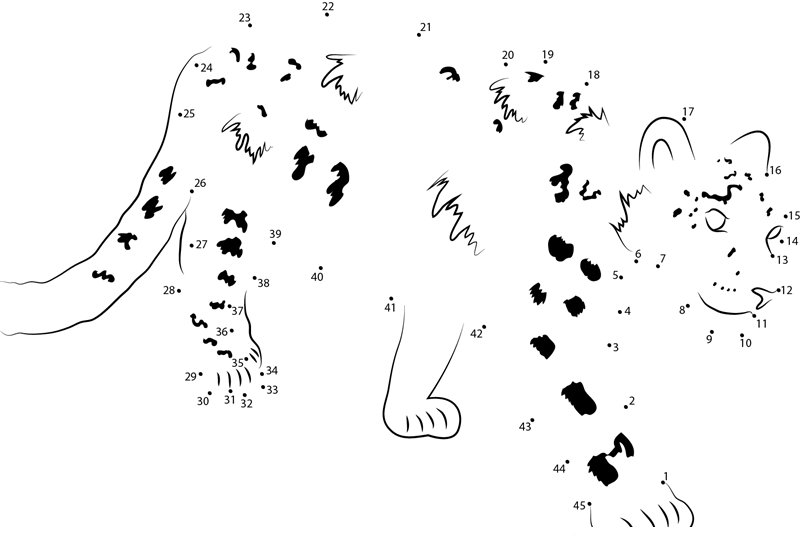 Beautiful Snow Leopard dot to dot worksheets