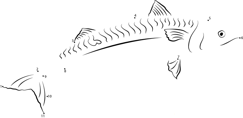 Atlantic Mackerel Scomber Scombrus dot to dot worksheets