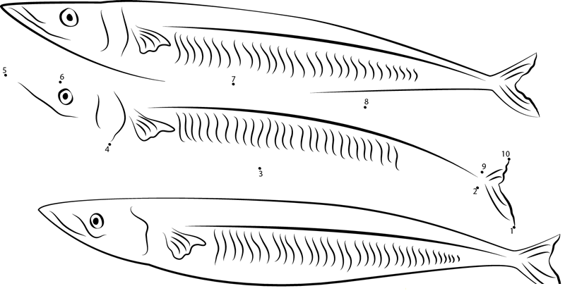 Chub Mackerel printable dot to dot worksheet