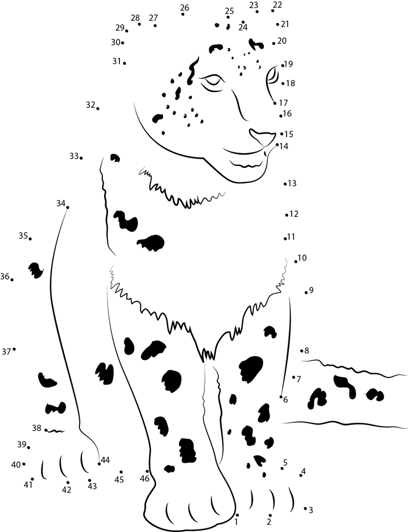 Cute Snow Leopard printable dot to dot worksheet