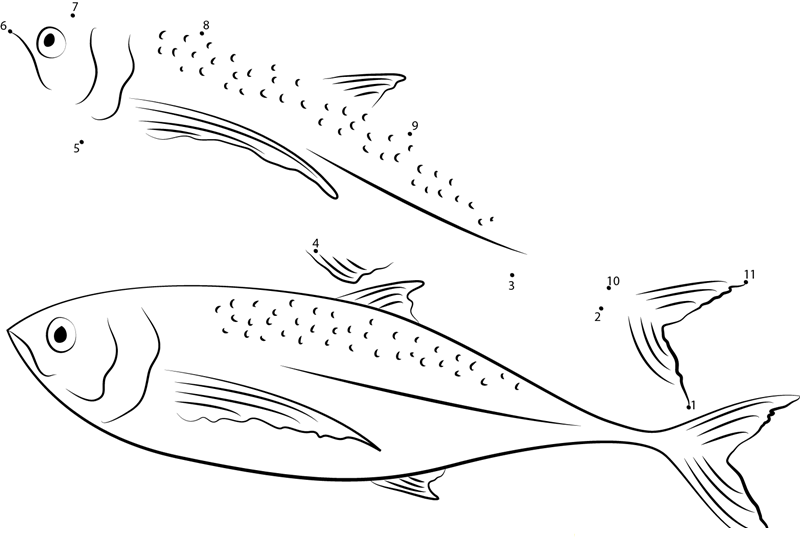 Horse Mackerel dot to dot worksheets