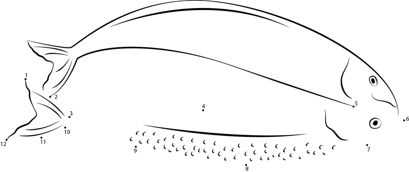 Indian Mackerel dot to dot worksheets