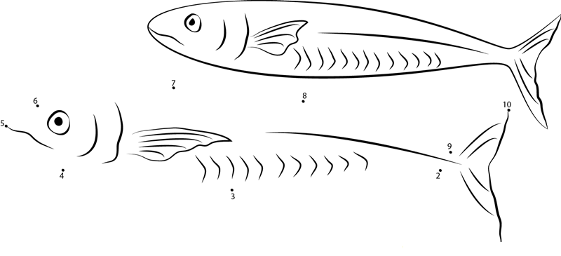 Island Mackerel dot to dot worksheets