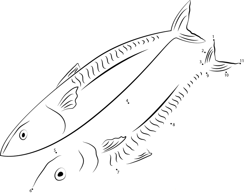 Japanese Spanish Mackerel printable dot to dot worksheet